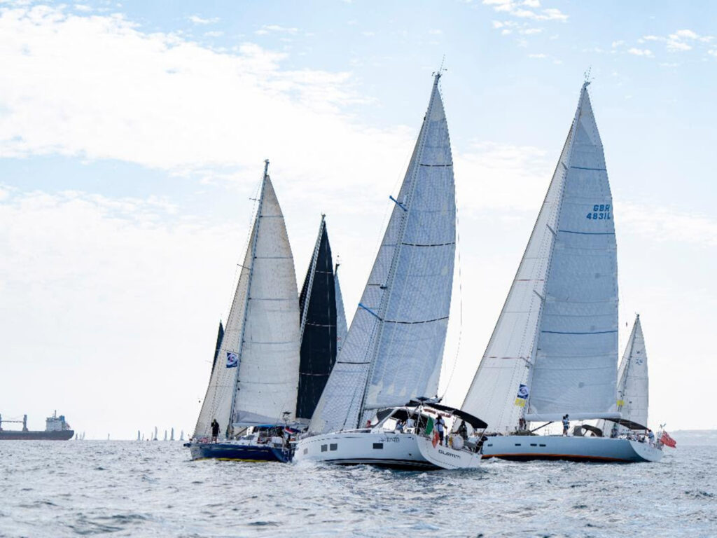 Sailboats on the water