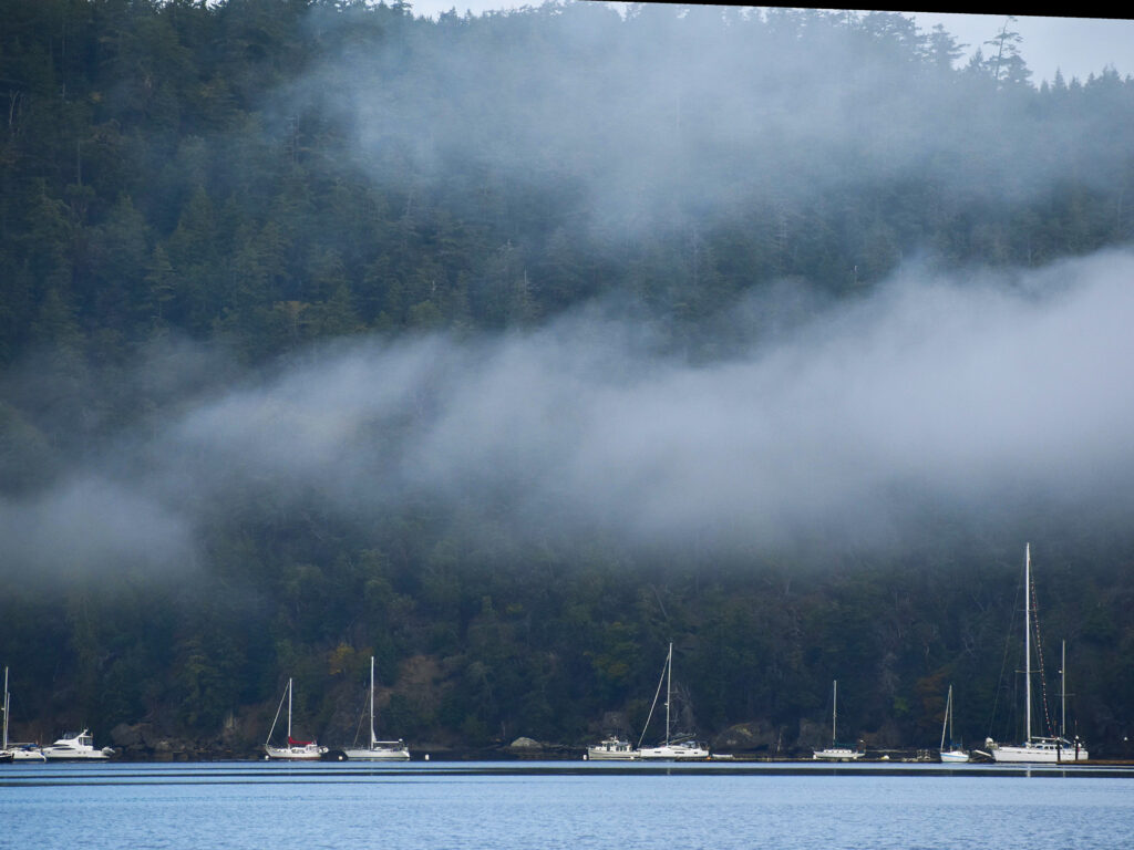Sailboats in Bedwell Harbour