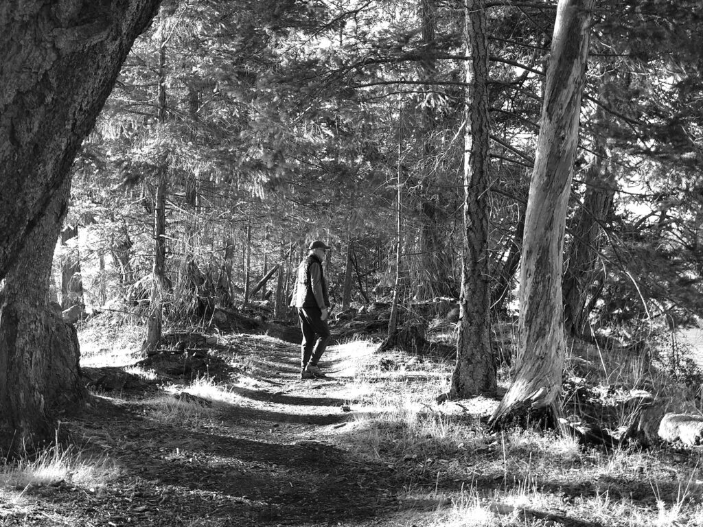 Man hiking in the woods