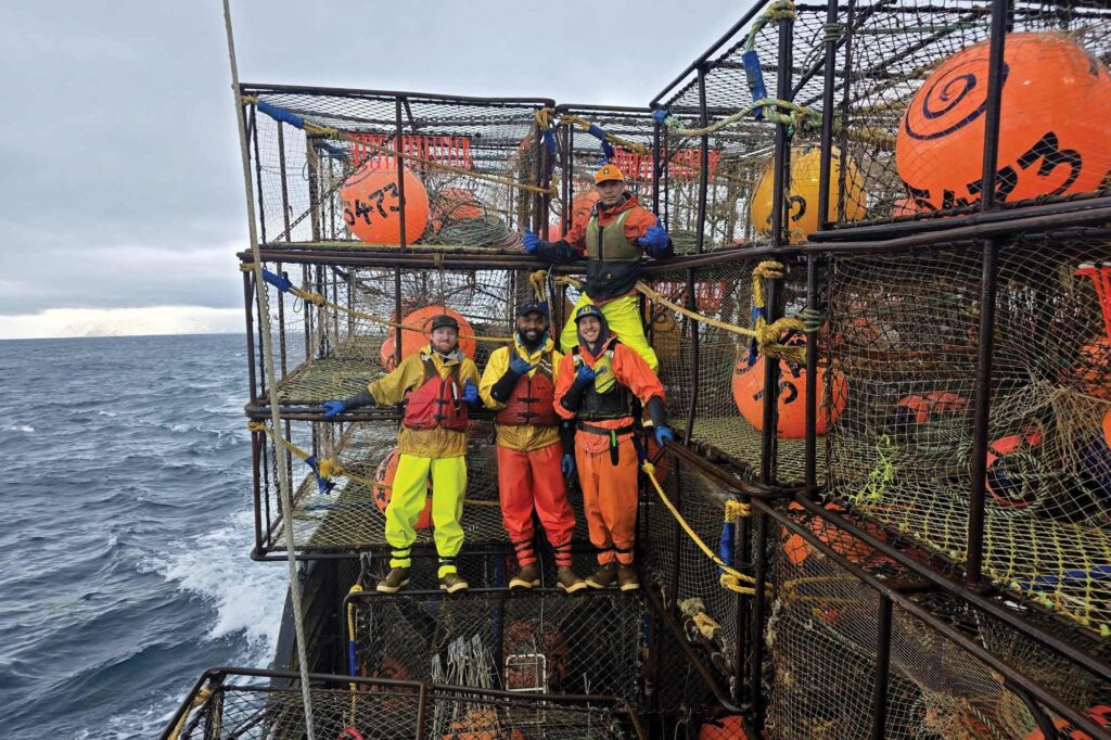cod hauls in the Bering Sea