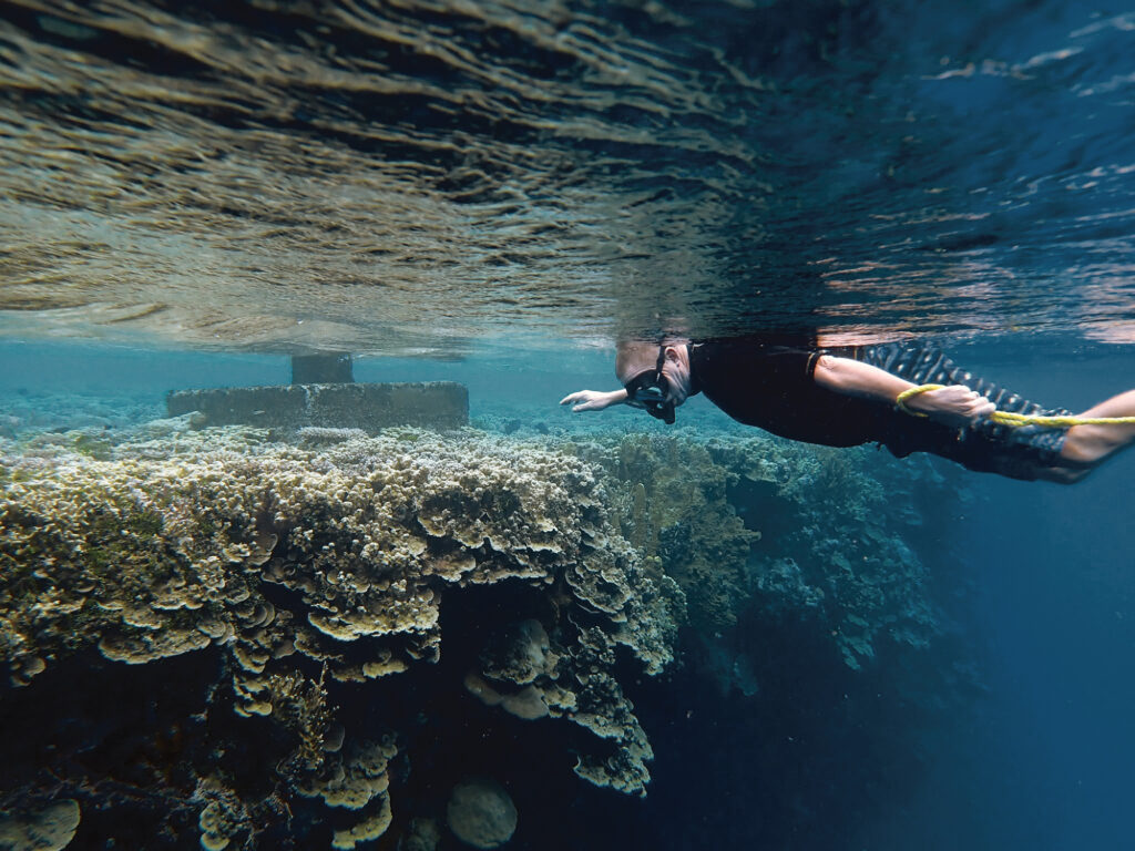Snorkeling near a coral wall